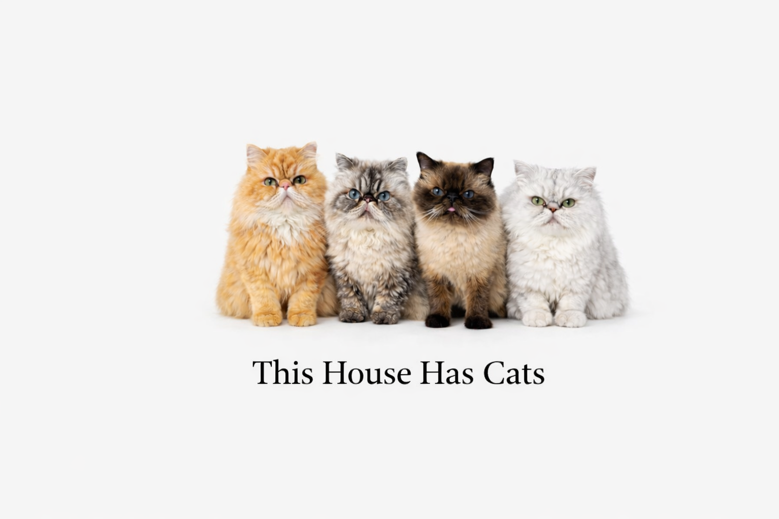 This House Has Cats